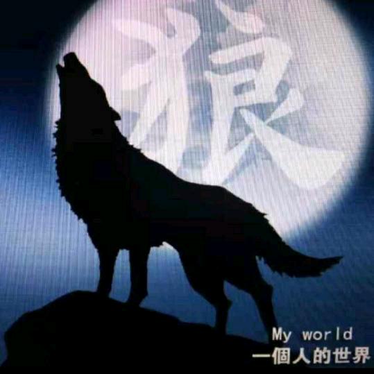 陆景安
