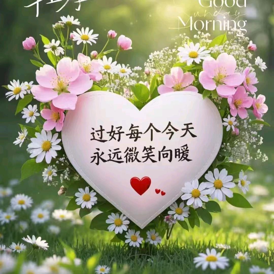 王老师