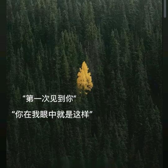 🍀🌱......