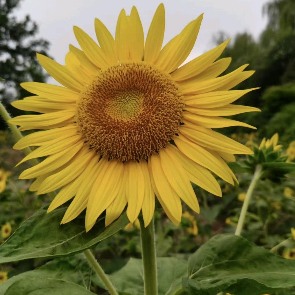 箭牌卫浴萍水相逢