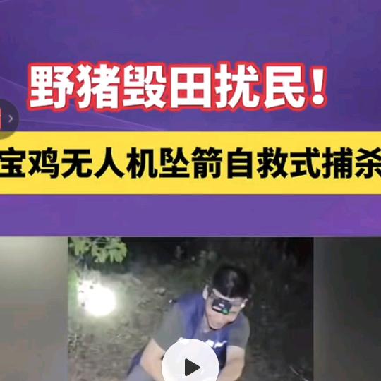 渝航箭客
