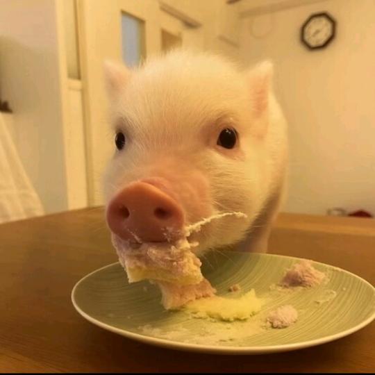 爱上你我罪该万死