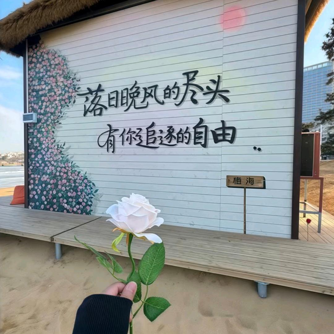 🌺🌺1314