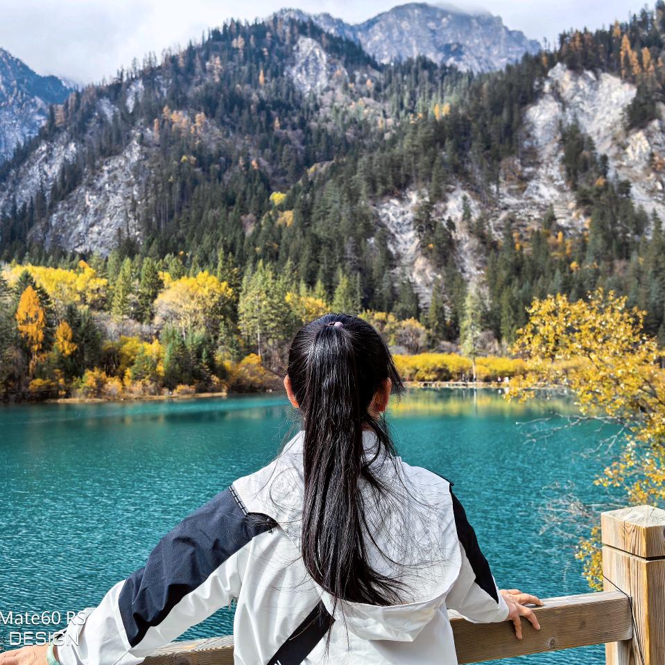 佛系人生&婷（拒绝私聊！连赞拉黑）！