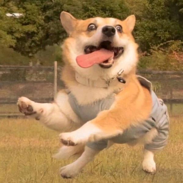 怣梦