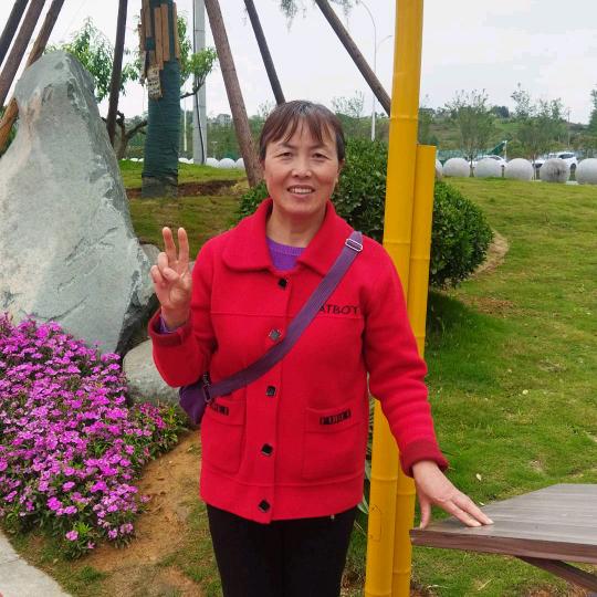 清梦扰