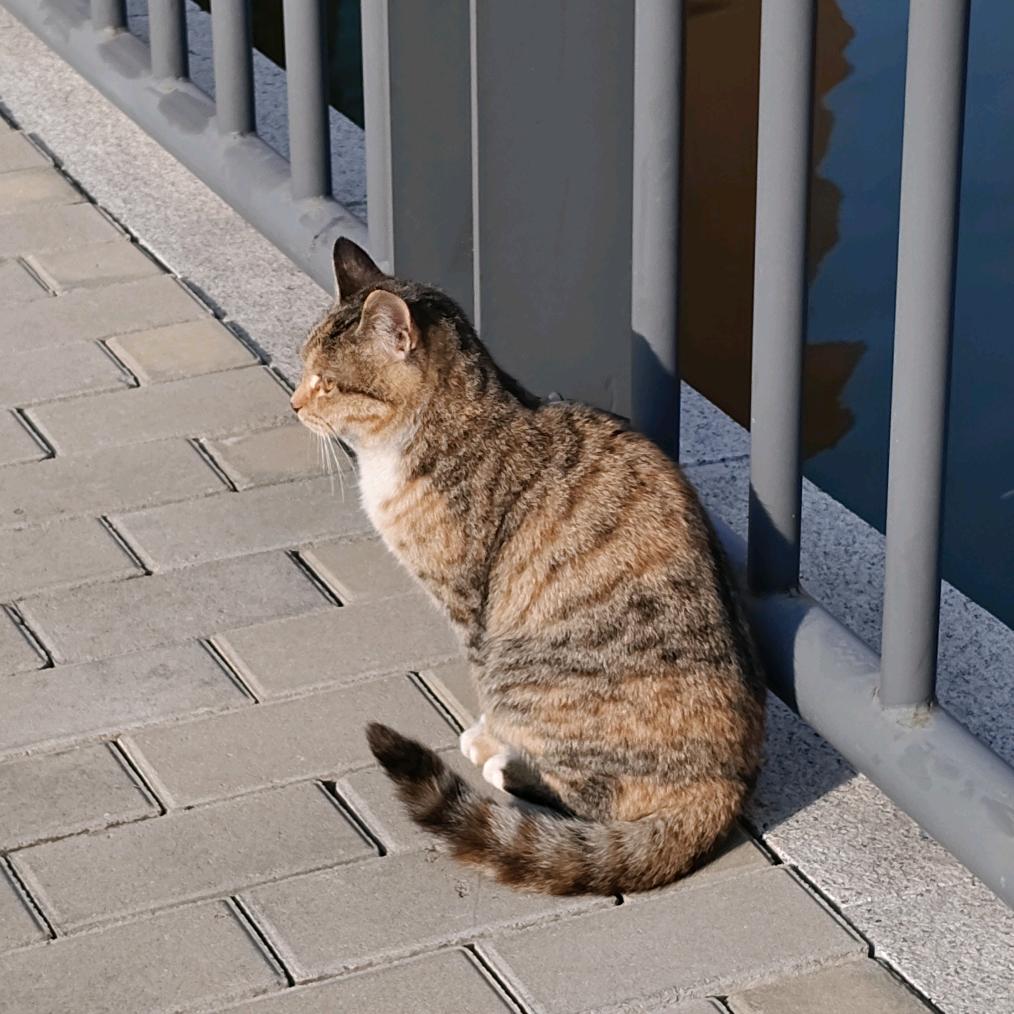 是钰不是玉呀🐬