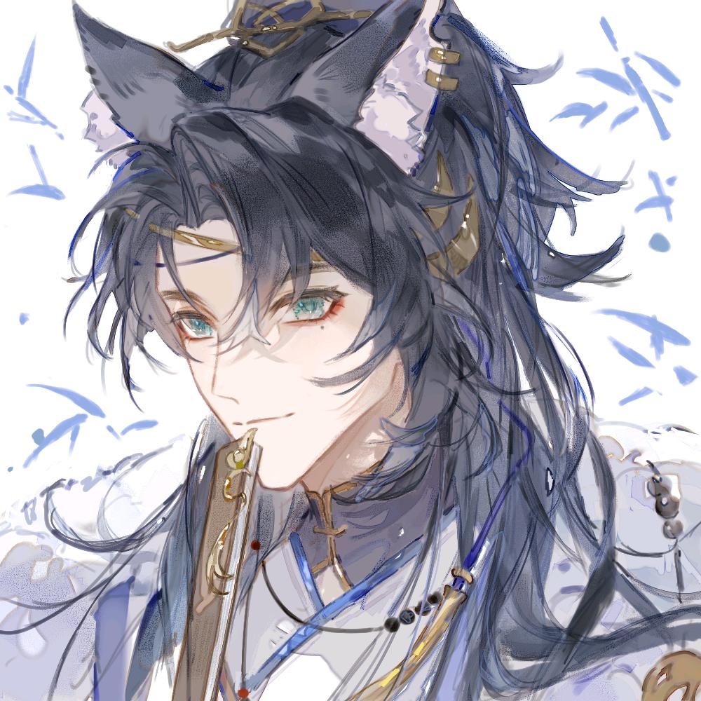 林雾晨光₊⁺🐾₊⁺
