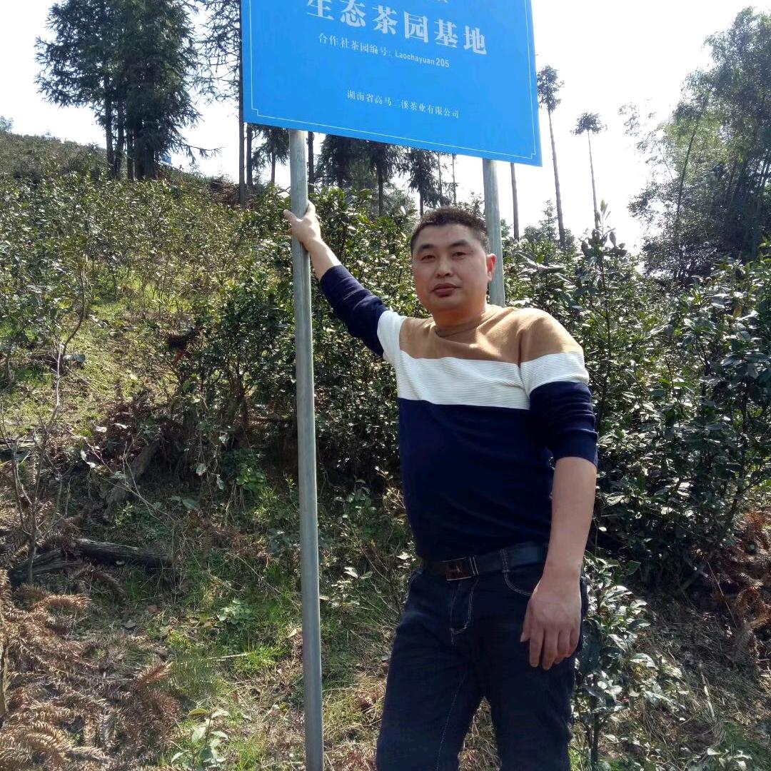 宝哥黑茶(黑针皇)
