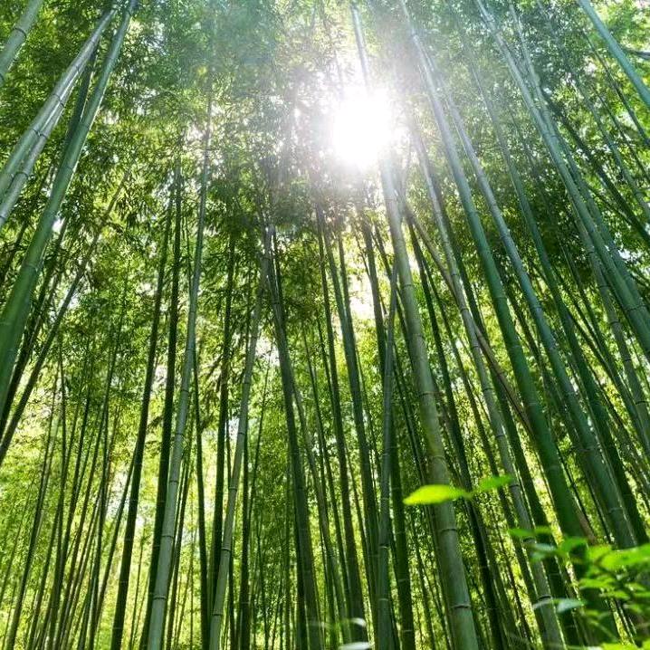 旅游秘籍丨镭少