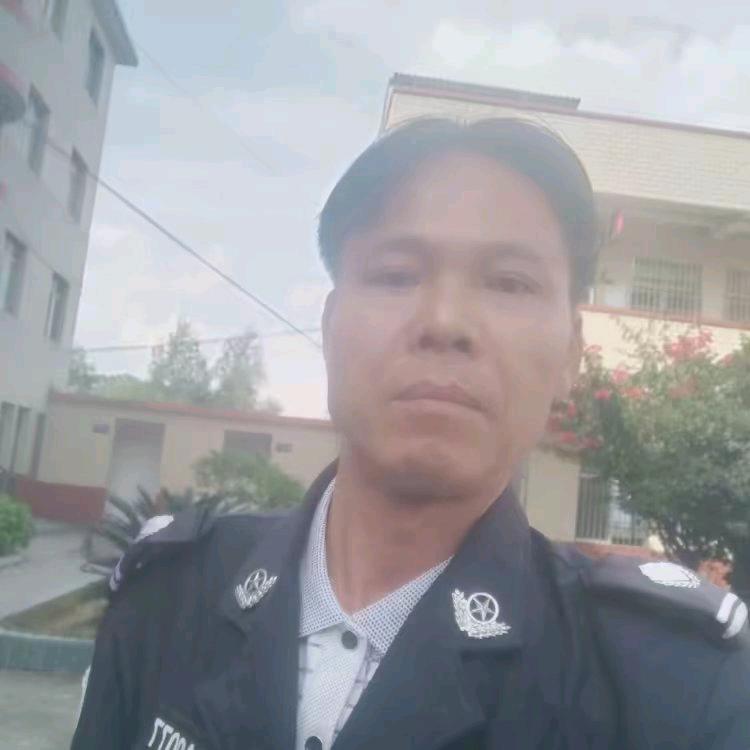 凤金阳