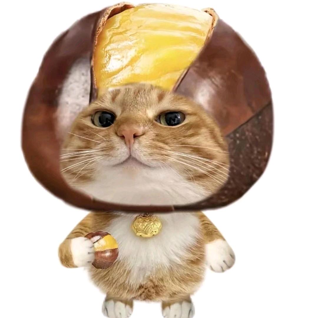 我一定要养一只可爱的修茂密