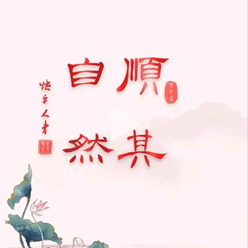 梦想飞扬