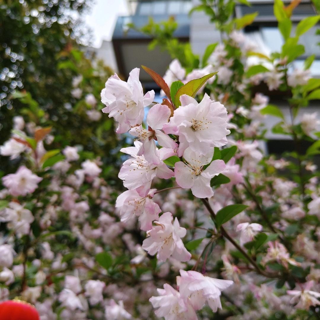 拖延症患者          关闭广告X