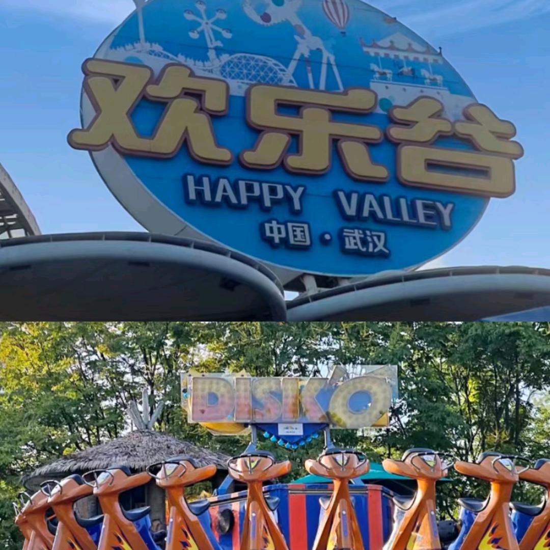 小羊游玩