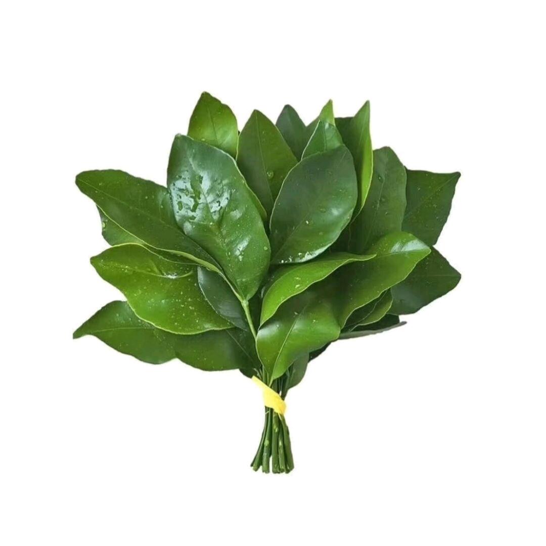 爱上火鸡面是我的错