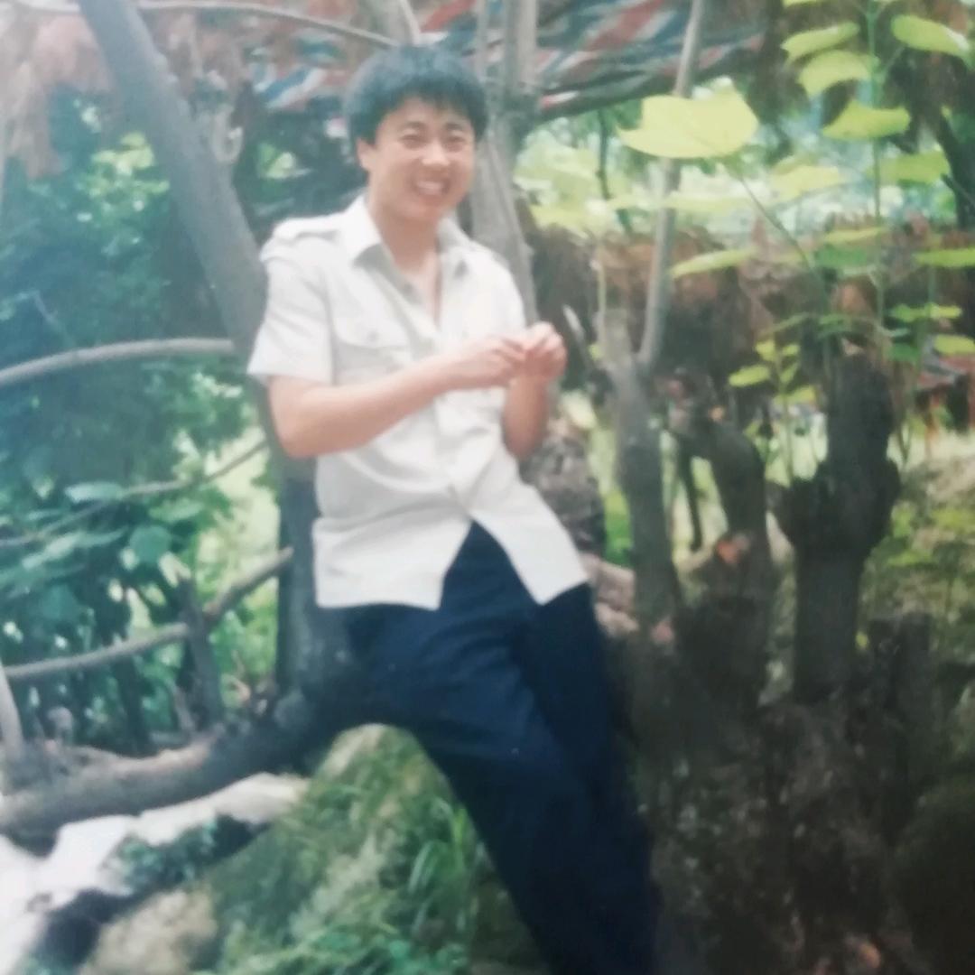秦领山小罗