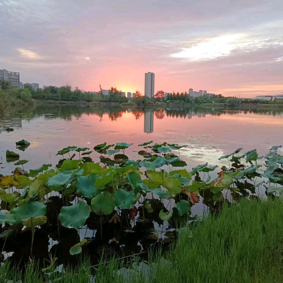静待花开