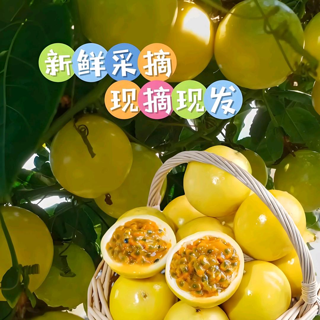百香果狂欢站