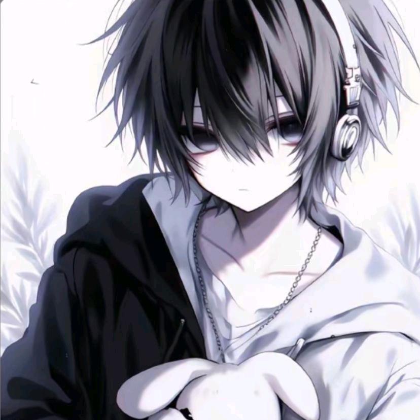ZO  |  R执