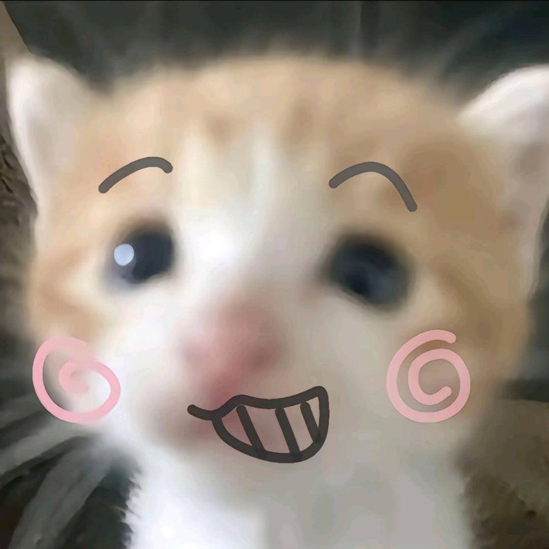 七七酱