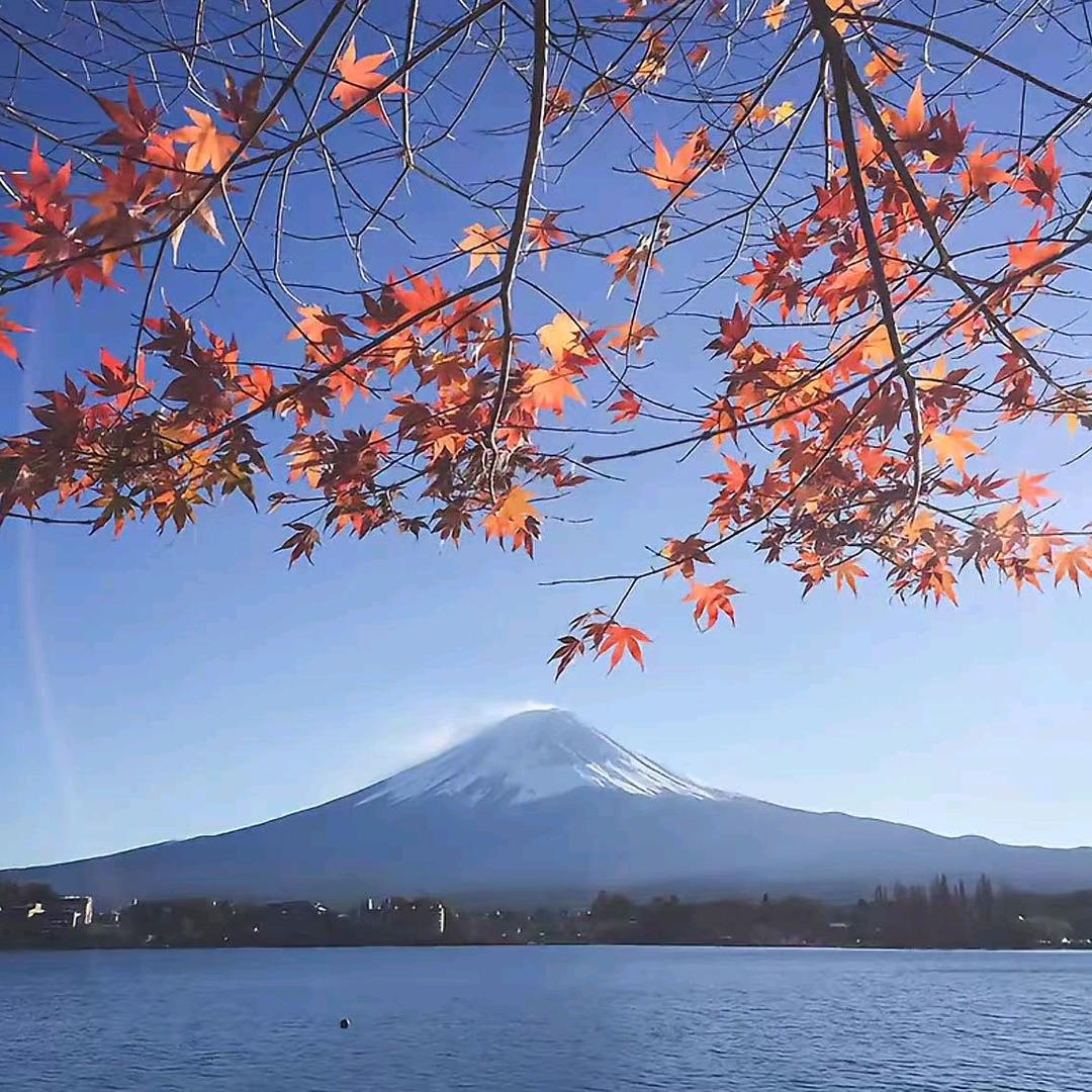 媛媛