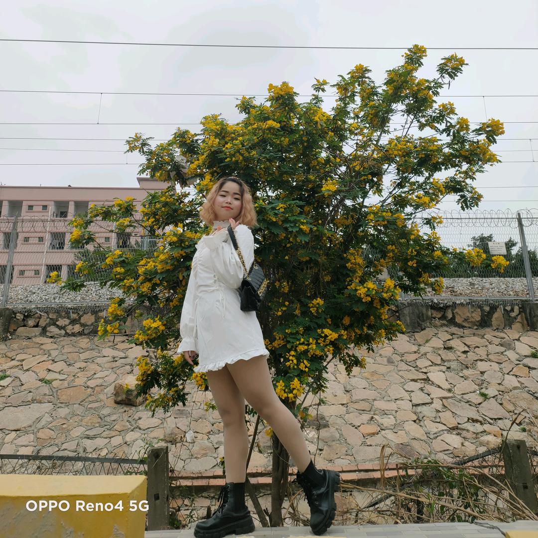 N Wai Pan🛍️