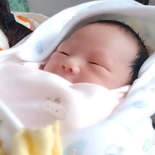 ꪶ .梦想起航ᝰꪶ