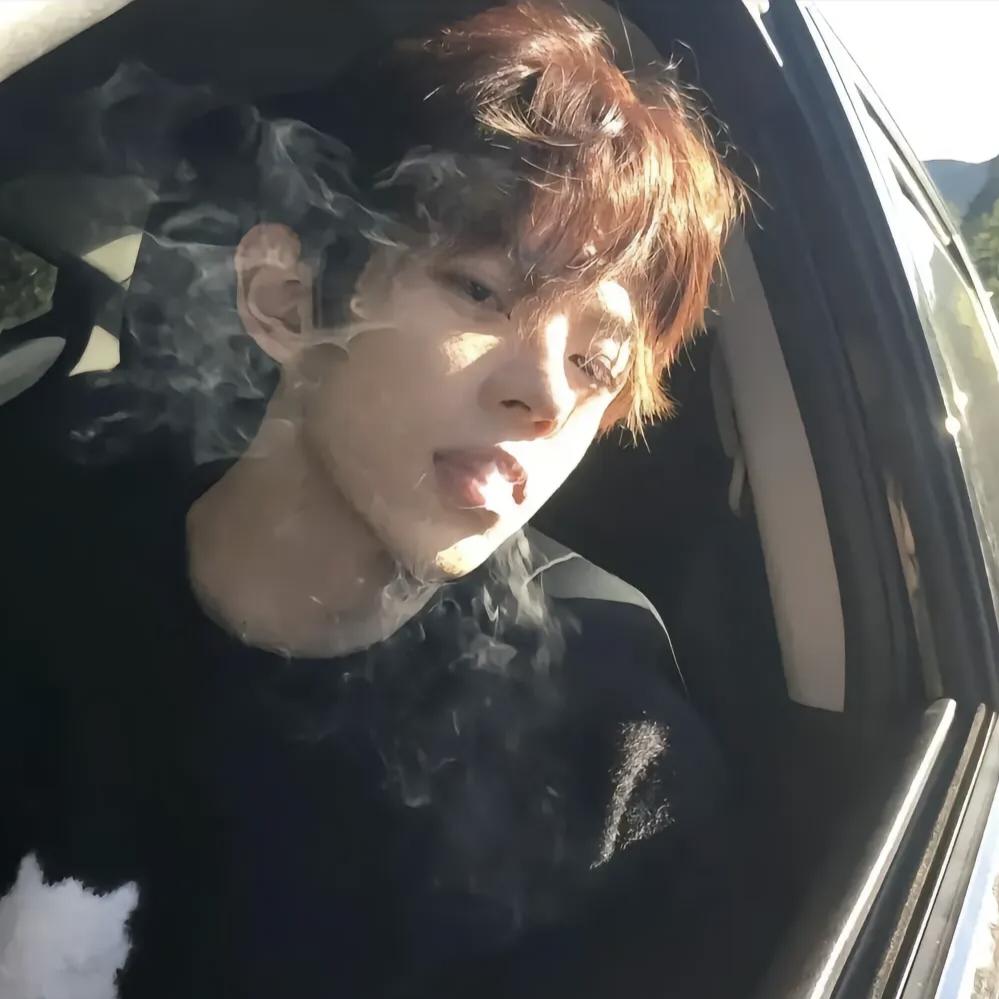 海