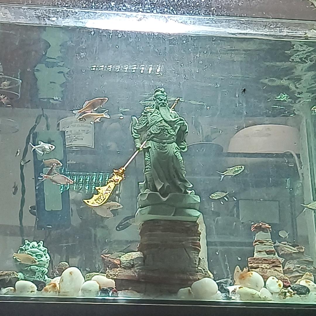 德宏荣盛玻璃鱼缸门窗专业定制