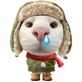 睡觉时候我不困