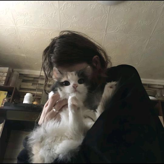 会飞的土豆面包