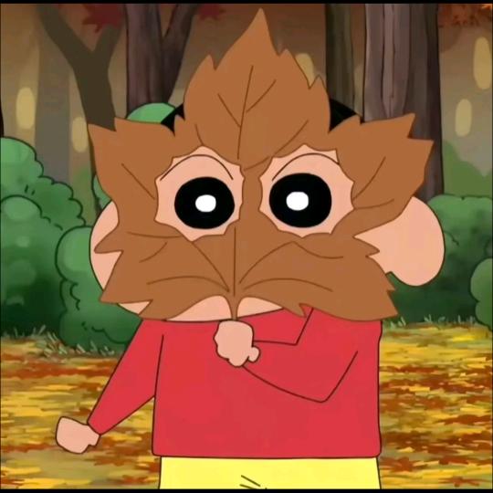 不甜的白开水🐟