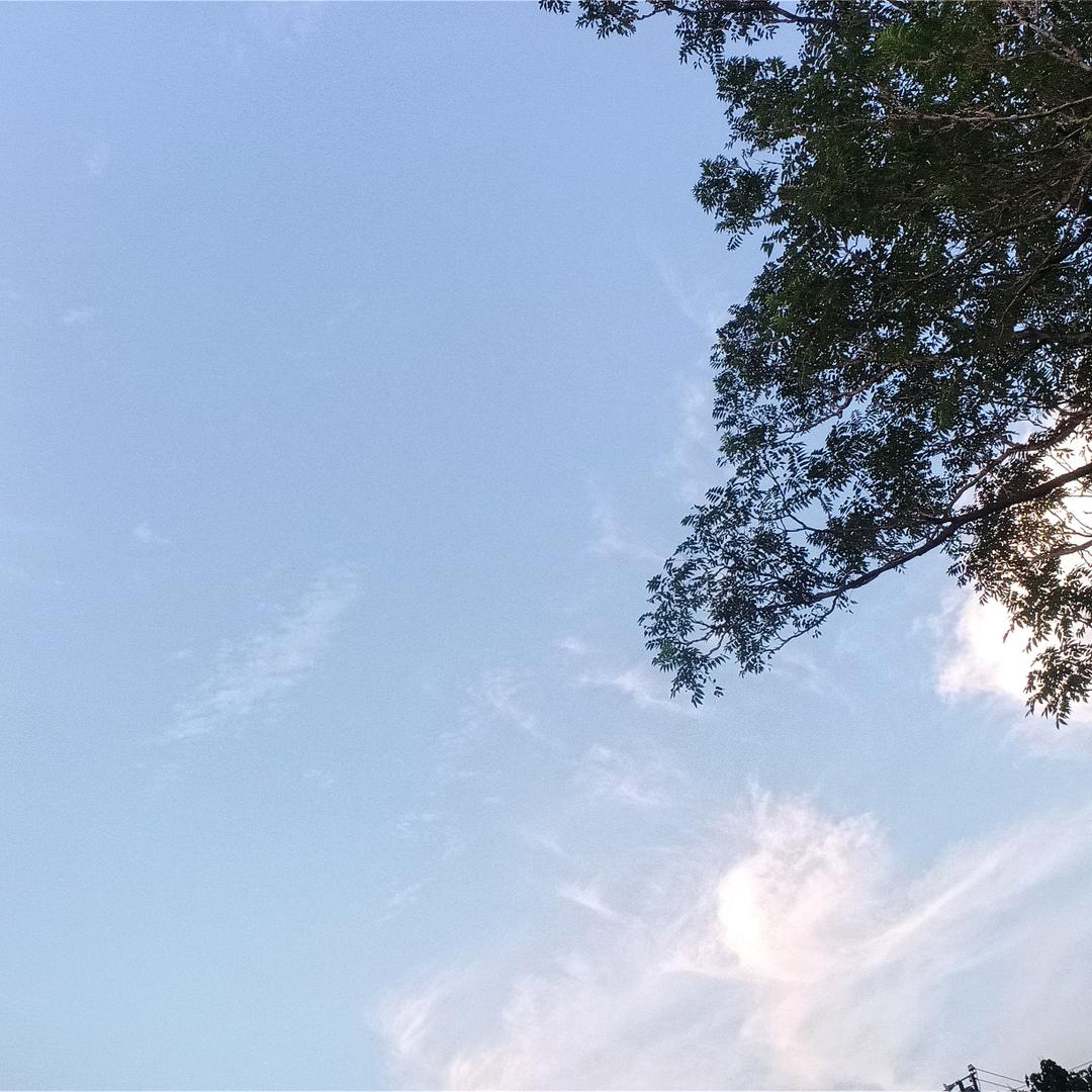 栾栾优选