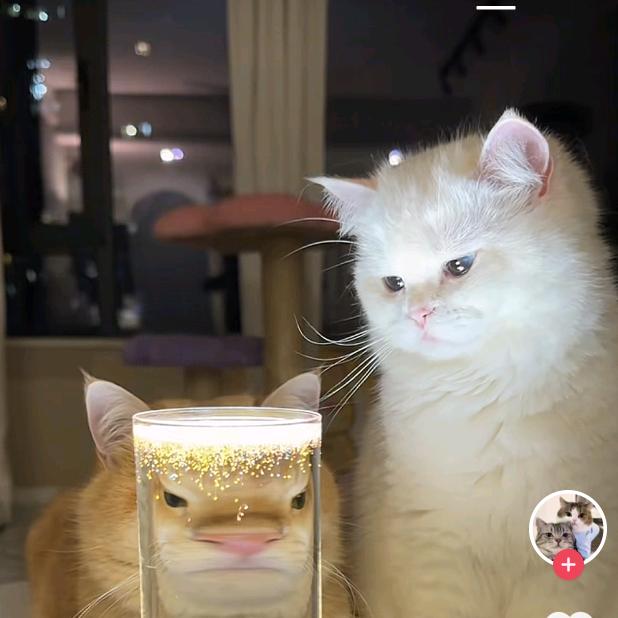月儿