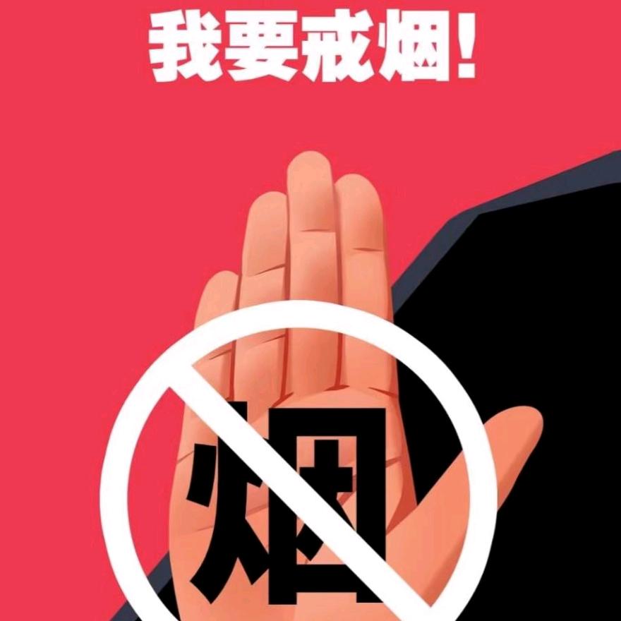 （维维）咨询