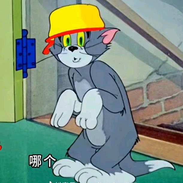 汤姆