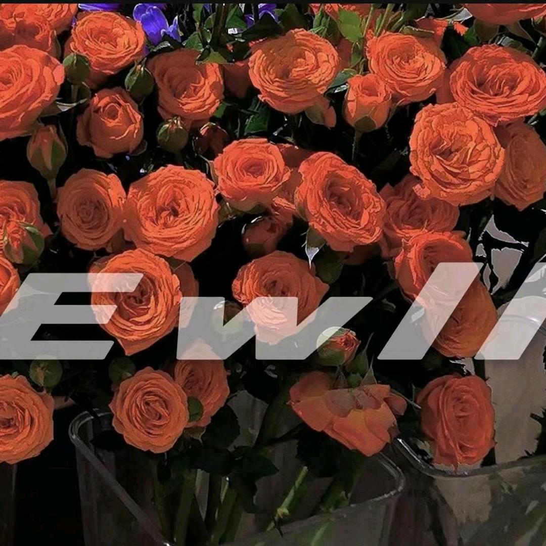 𝙎𝙚𝙞𝙣𝙩🌙