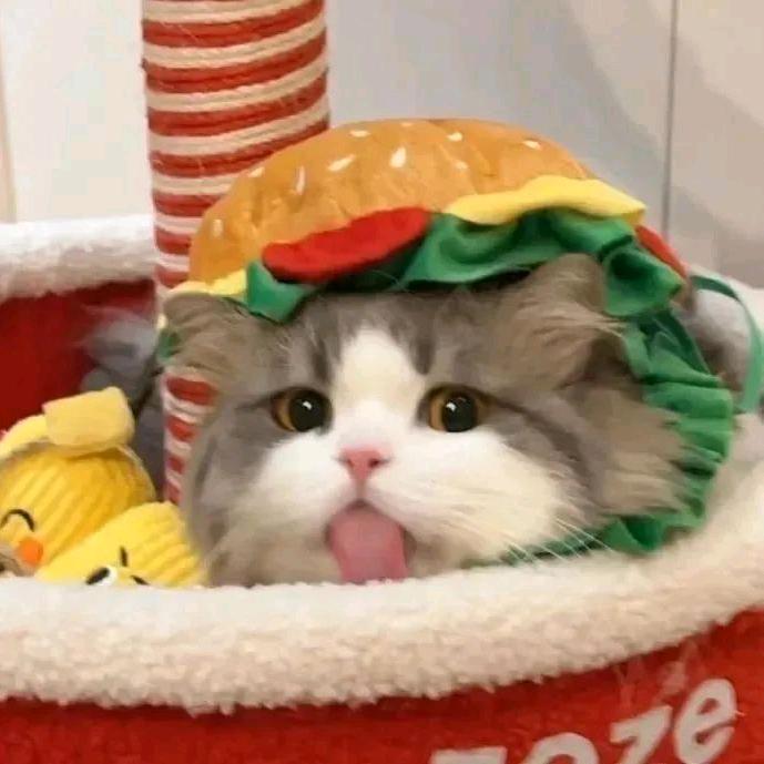 依