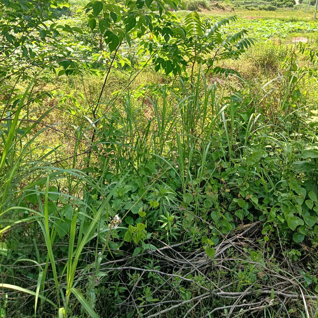 舍与得、包与容、方与圆