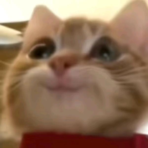 小橘🙊