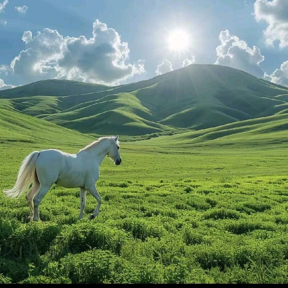 董博（戒烟中）