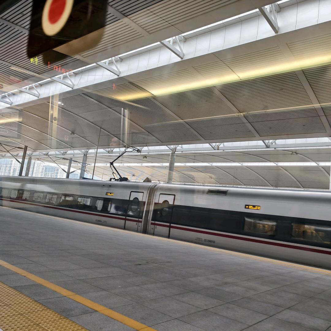 龙宝
