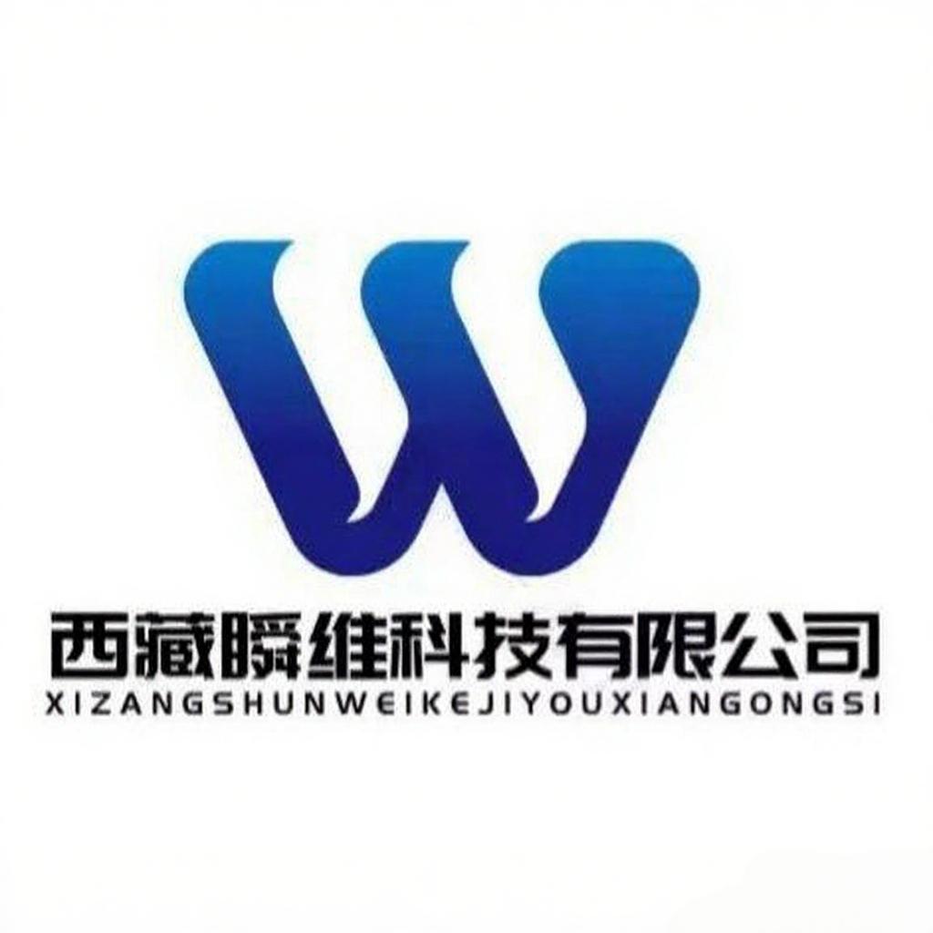 西藏瞬维科技公司