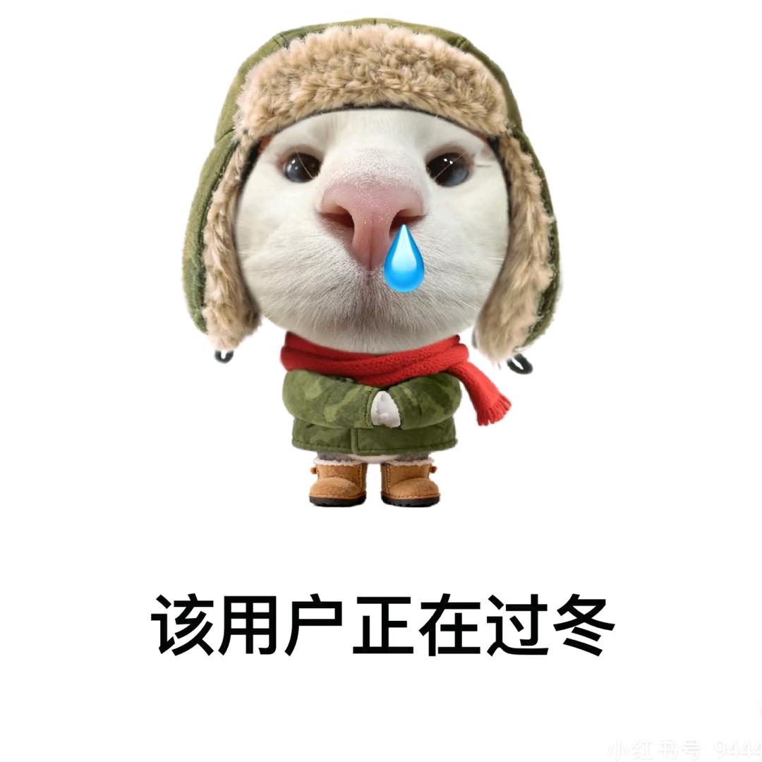 每天十个饺子