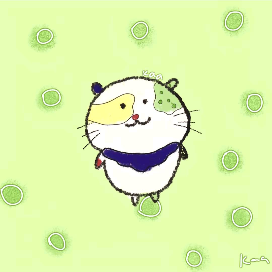 普通读者
