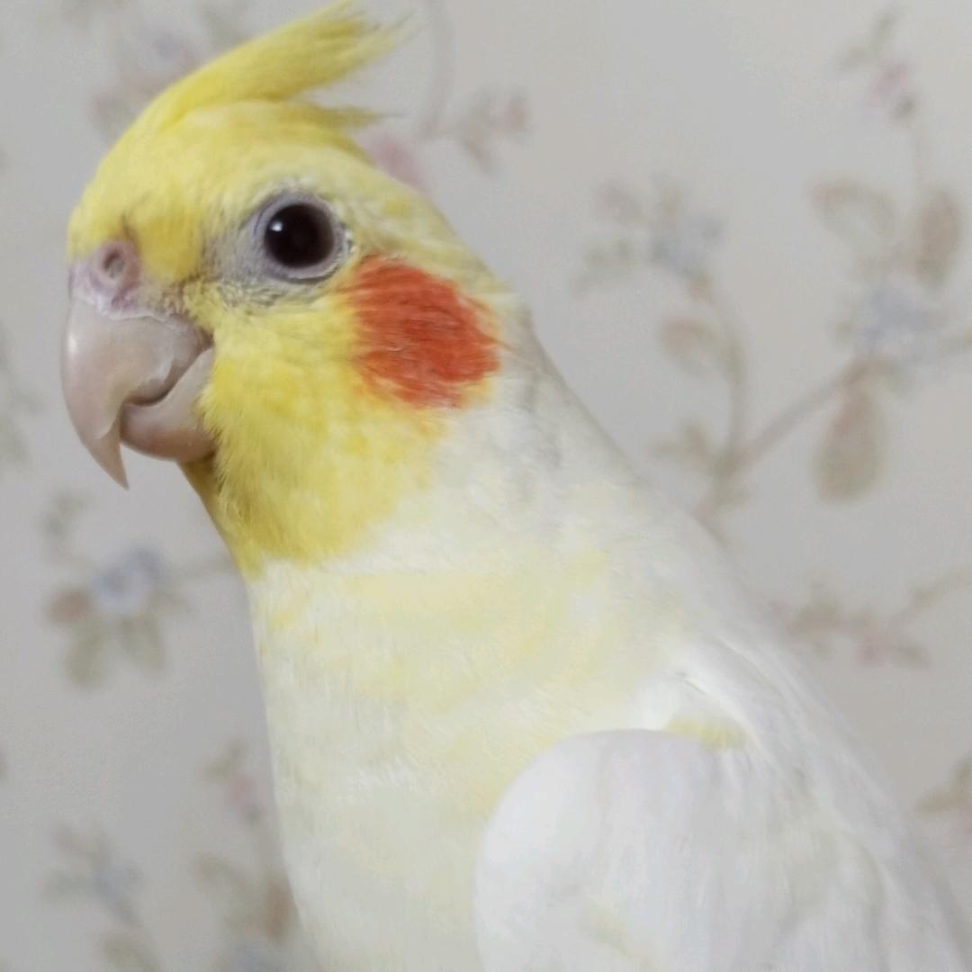 🌈🌈地狱里的魔鬼