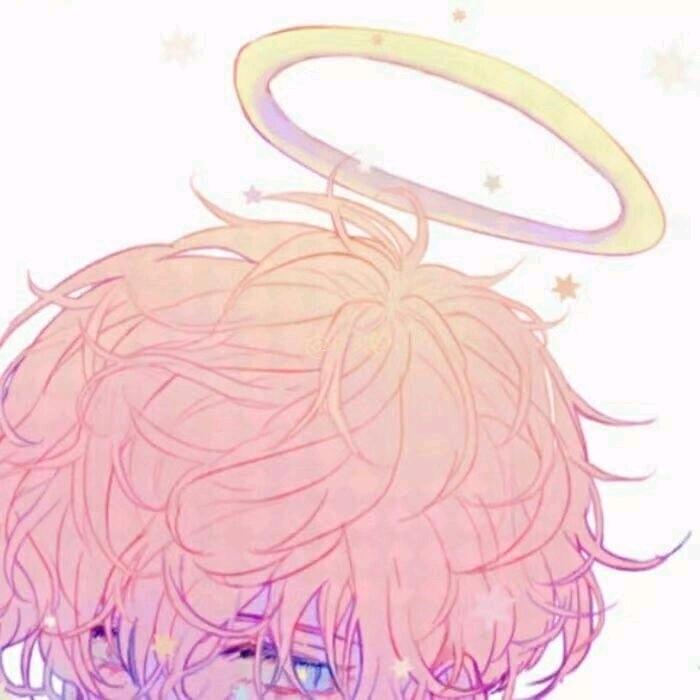 鲤鱼学长