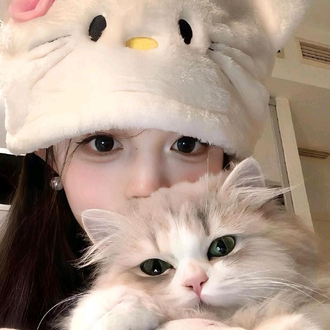 喂！桐妹