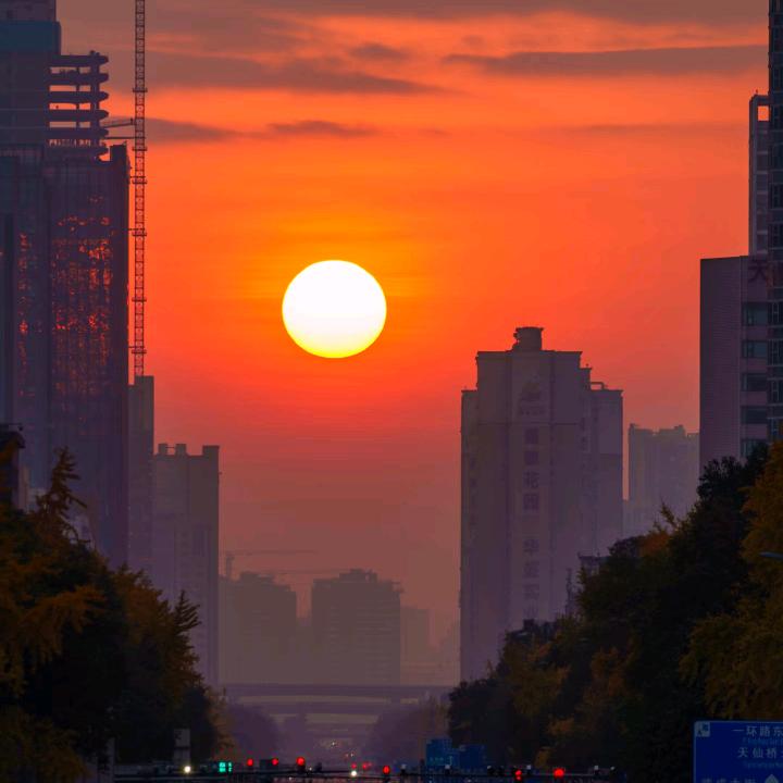 每日英语◕｡